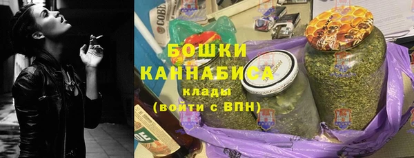 дживик Гусь-Хрустальный